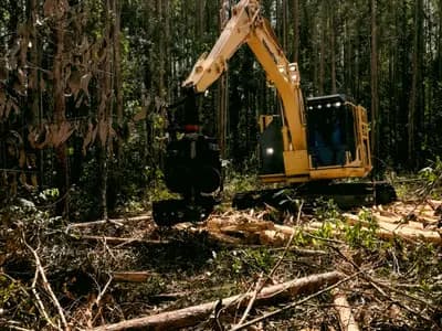 Land Clearing Services Atlanta in Atlanta